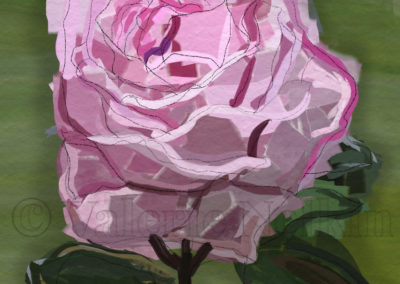 Rose - ArtRage