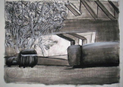 Tree Room Of ODY - Charcoal On Paper